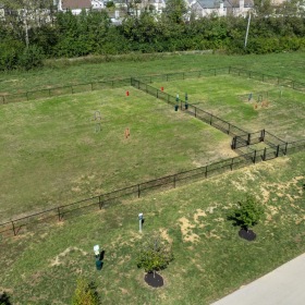 a large green field with a fence and trees